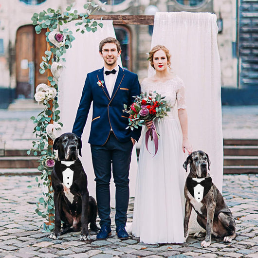 Traje de Esmoquin para Perros con Pajarita y Pañuelo - Disfraz Formal Ajustable - Image 6
