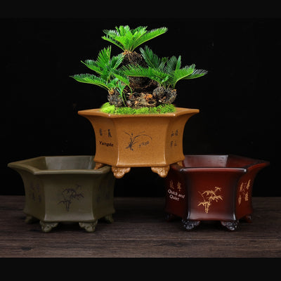 Maceta Hexagonal de Cerámica Transpirable para Orquídeas - Image 3