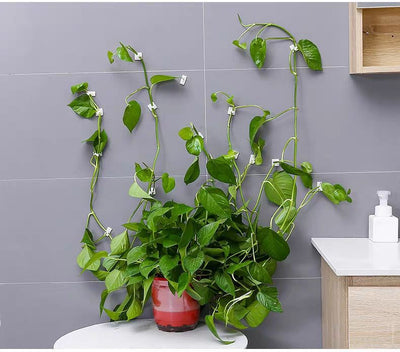Enredadera Verde Autoadhesiva para Pared - Soporte de Plantas Sin Clavo - Image 4