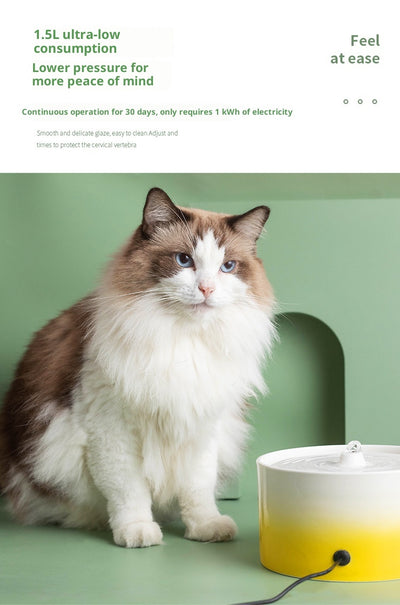 Fuente de Agua Automática para Gatos con Cerámica y Tecnología Eléctrica - Image 27