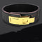 Gold buckle