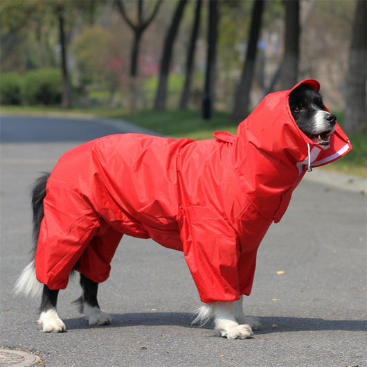 Impermeable Integral para Perros - Image 10