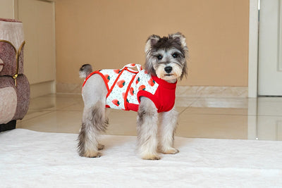 Ropa Quirúrgica Protectora para Mascotas - Anti-lamido Universal - Image 20