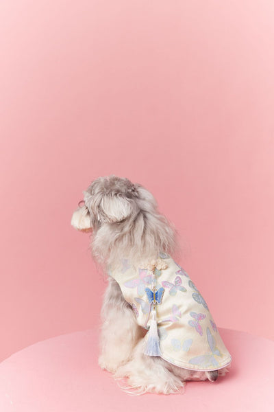 Chaleco Cheongsam Estilo Neo-Chino para Mascotas Pequeños - Schnauzer y Bichón - Image 19