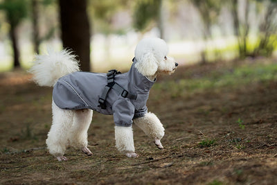 Impermeable para Perros Pequeños y Medianos con Arnés Integrado - Image 12
