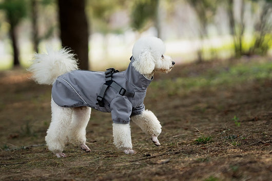 Impermeable para Perros Pequeños y Medianos con Arnés Integrado - Image 12