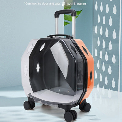 Mochila Transparente de Gran Capacidad con Ventilación para Mascotas