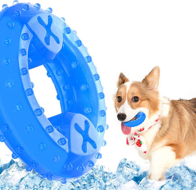 Juguete Refrigerante para Perros y Cachorros con Compartimento para Premios