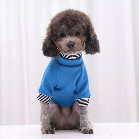 Suéter Reflectante para Paseos Nocturnos - Ropa para Perros y Gatos - Image 6
