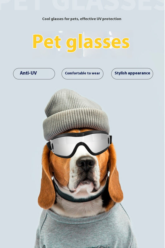 Gafas de Sol para Perros con Protección UV - Lentes Deportivas para Mascotas - Image 39