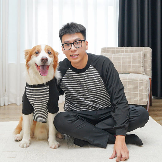 Camiseta Rayada para Perros Grandes - Ropa Cómoda y Protectora - Image 8