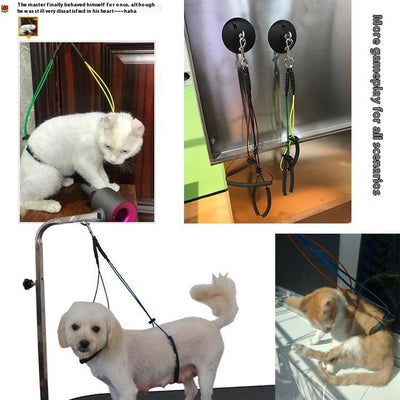 Cuerda de Baño para Mascotas con Ventosa y Alambre de Acero - Image 3