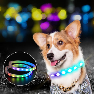 Collar LED Recargable Luminoso para Perros con Destello de Seguridad Nocturna