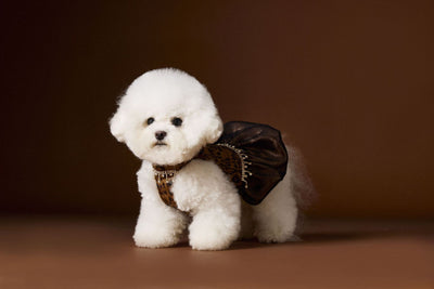 Vestido Otoñal Estampado Leopardo para Perros - Image 23