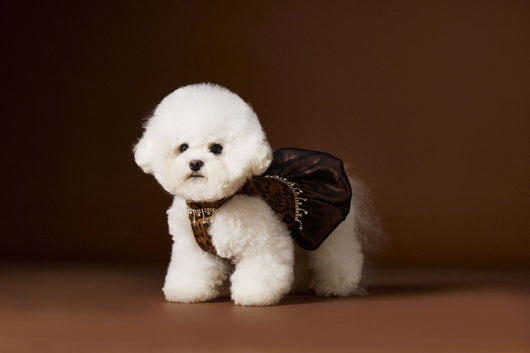 Vestido Otoñal Estampado Leopardo para Perros - Image 23