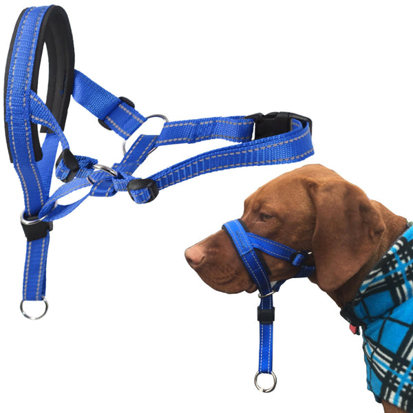 Bozal de Nylon para Perros - Cómodo y Seguro