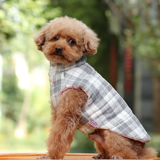Chaleco Reversible para Perros - Abrigo Otoño e Invierno - Image 5