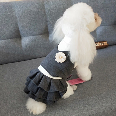 Vestido Princesa de Lana Estilo Coreano para Perros Teddy - Image 11