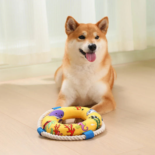 Anillo de Entrenamiento Flotante para Perros - Juguete Resistente a Mordidas - Image 10