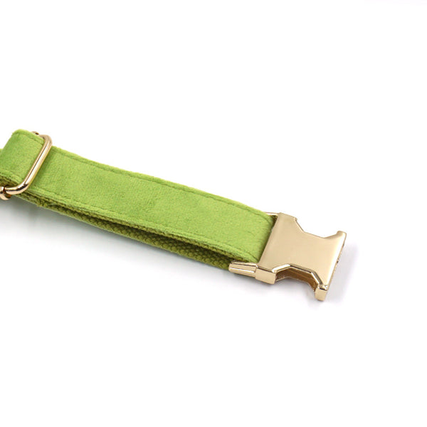 Collar para Perro Terciopelo Matcha Verde Simple