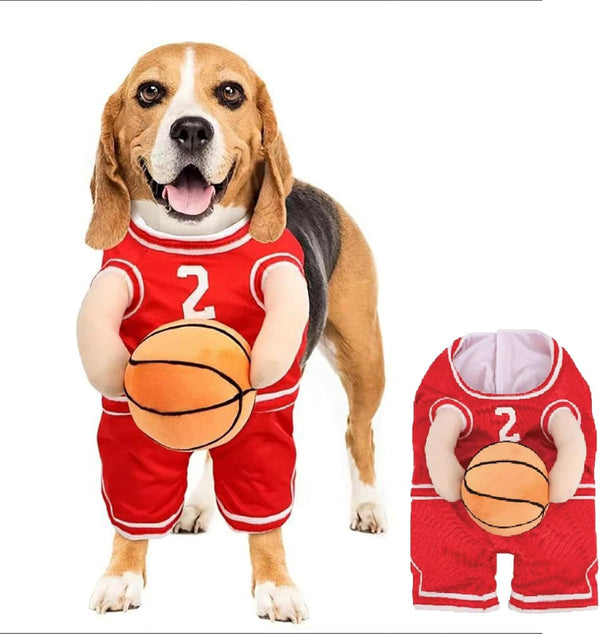 Disfraz de Jugador de Baloncesto para Perros - Outfit Deportivo Divertido