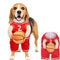 Disfraz de Jugador de Baloncesto para Perros - Outfit Deportivo Divertido