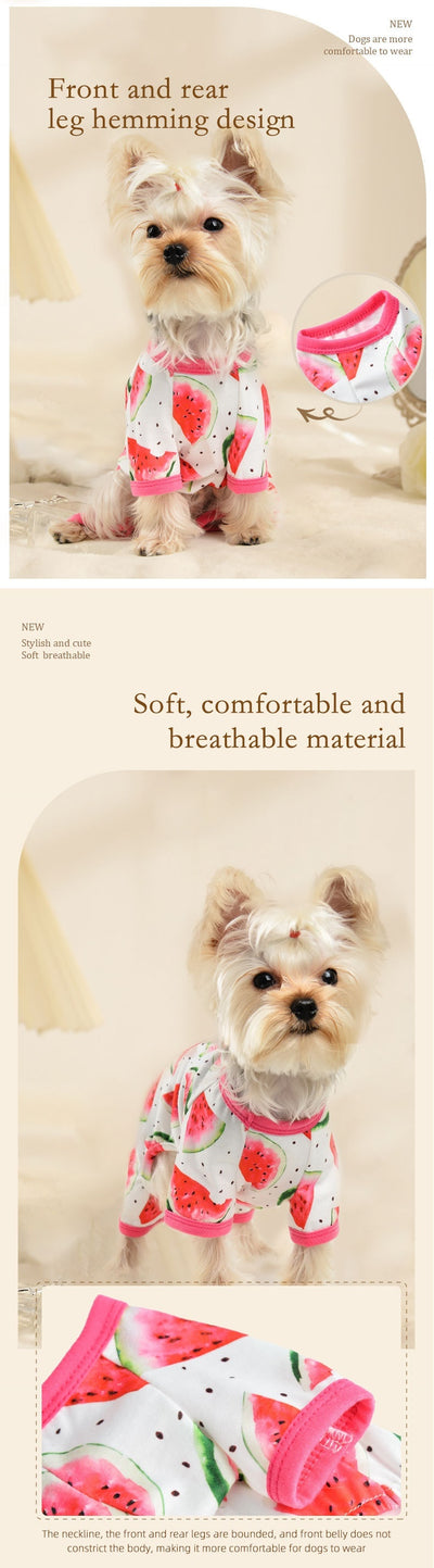 Mono para Mascotas con Estampado de Sandía - Traje de Cuatro Patas - Image 7
