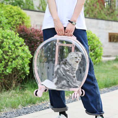 Bolsa Transportadora Transparente para Gatos - Image 5