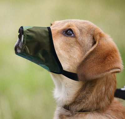 Bozal Antiladridos Impermeable para Perros - Control Suave y Seguro - Image 9