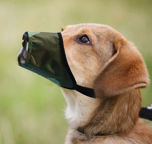 Bozal Antiladridos Impermeable para Perros - Control Suave y Seguro - Image 9