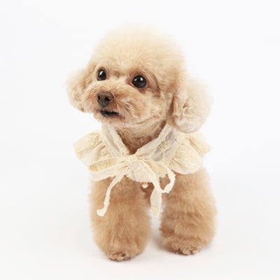 Vestido Fresco para Perro - Diseño Adorable Primavera Verano - Image 3