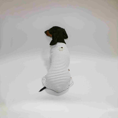 Ropa a Rayas para Perros y Gatos - Diseño Elegante y Cómodo - Image 5