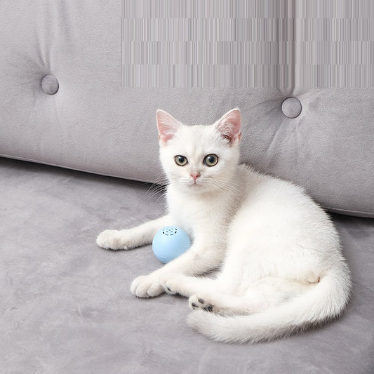 Pelota Musical Interactiva para Gatos - Sonidos y Texturas - Image 2