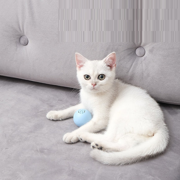 Pelota Musical Interactiva para Gatos - Sonidos y Texturas