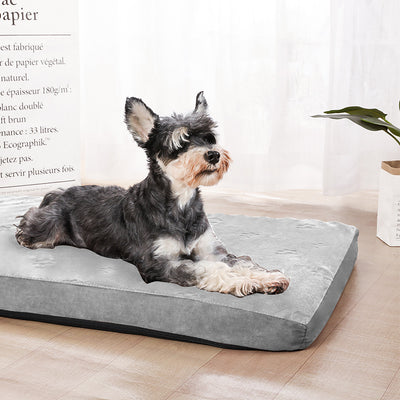 Casa Impermeable para Perro con Esponja Memory Egg - Image 2