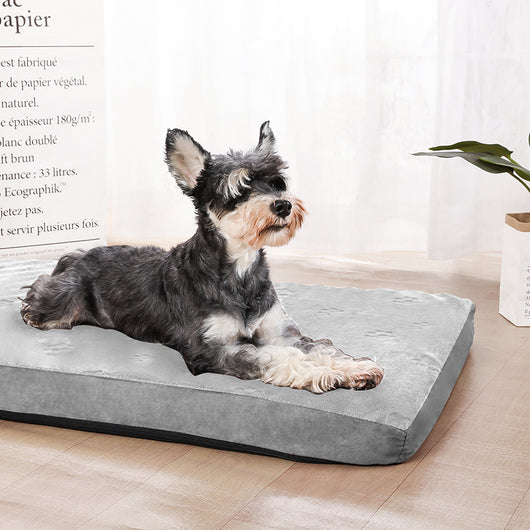 Casa Impermeable para Perro con Esponja Memory Egg - Image 2