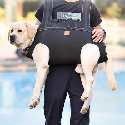 Mochila de Transporte para Perros Medianos y Grandes - Image 8