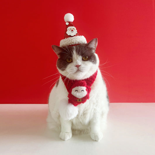 Bufanda Navideña para Gatos - Decoración Festiva para Mascotas