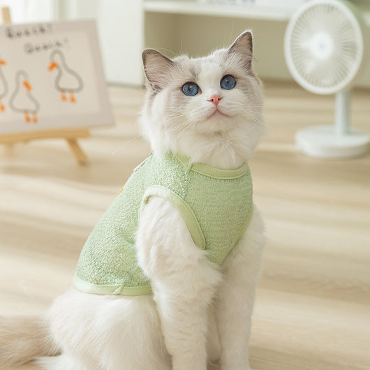 Ropa Transpirable para Mascotas con Diseño Calado y Parche de Osito - Image 4
