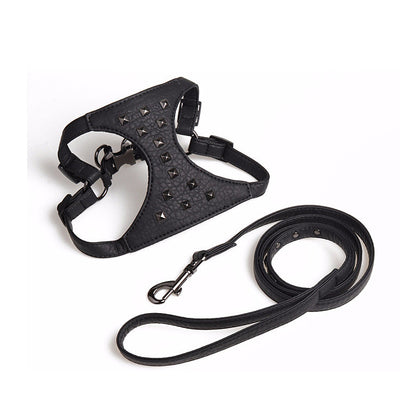 Correa de Cuero Ajustable para Perro con Tachuelas Estilo Premium - Image 9