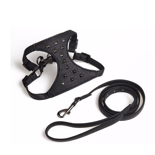 Correa de Cuero Ajustable para Perro con Tachuelas Estilo Premium - Image 9