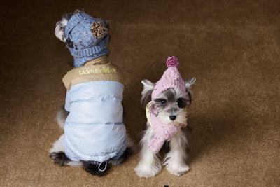 Chaleco Acolchado de Invierno para Perros Pequeños - Teddy, Schnauzer, Bichón - Image 21
