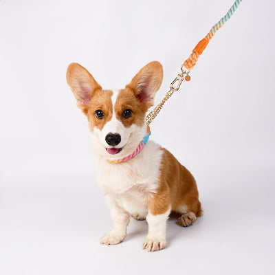 Collar Trenzado Antiexplosión para Perros - Image 11