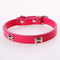 Collar Personalizado de Moda para Mascotas en PU