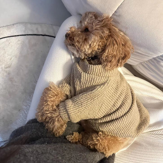 Suéter Tejido para Perros Pequeños - Abrigo Cálido Bichón, Pomerania y Razas Toy