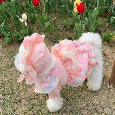 Falda de Malla para Bichón Frisé - Diseño Teddy - Image 11