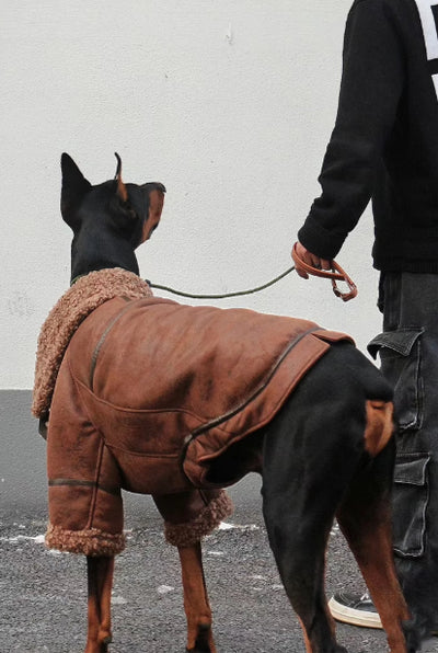 Abrigo de Cuero con Terciopelo Winter Plus para Perros Grandes - Image 4