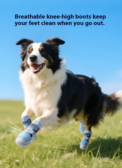 Botas Protectoras para Perros Verano Transpirables Antiescaldaduras - Image 14