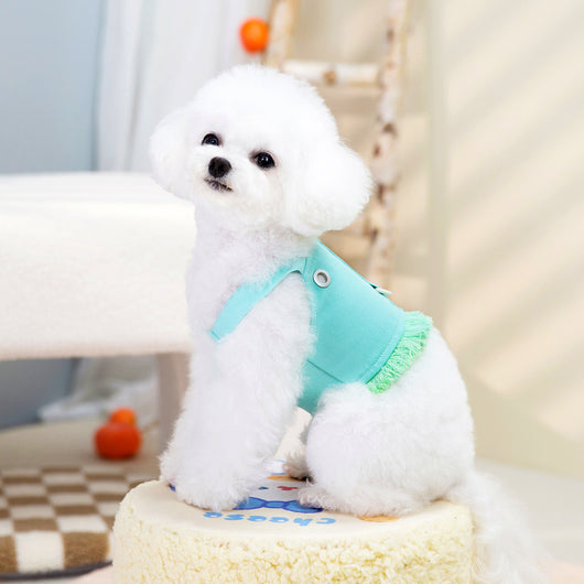 Arnés Personalizado de Moda para Mascotas - Image 15