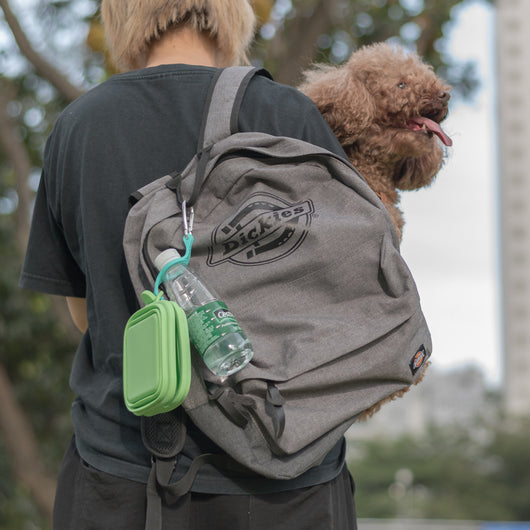 Comedero Plegable de Silicona para Perros y Gatos - Portátil y Resistente - Image 4